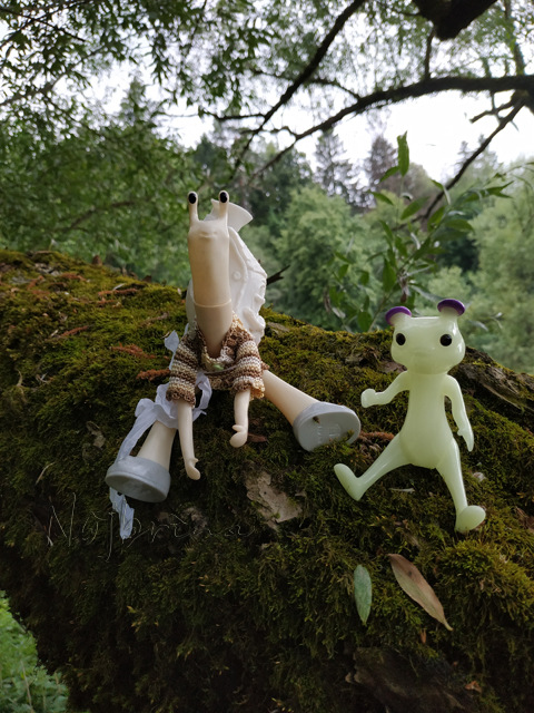 Wonderfrog. Красота в простоте