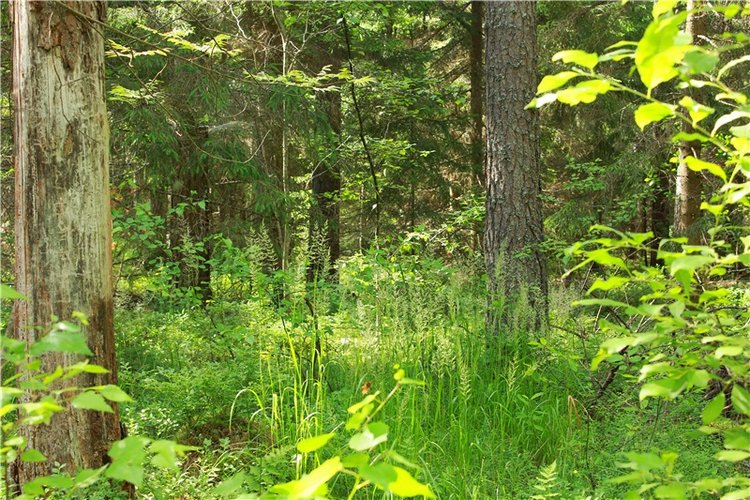 Путешествие Эли на красивый берег реки Волги