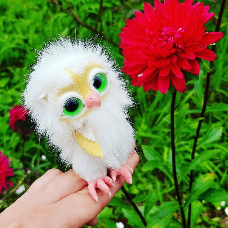 Последние денечки лета.... Совенок Желточек, дача и другие дачные жители