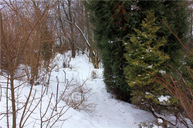 Тверской Ботанический Сад, заключительная часть