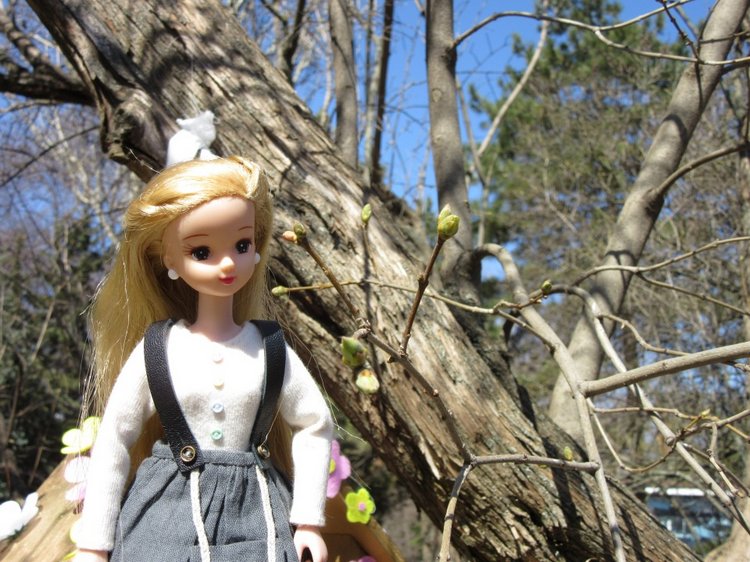 Пробуждение весны — Куклы Takara Tomy (Такара): Licca (Ликка)