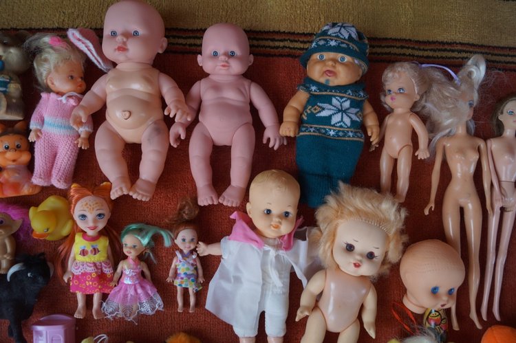 Новые пациенты приехали в посылке (фото 6)