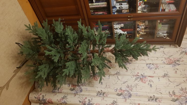 Майя и ёлочка №2 — Куклы с Алиэкспресс (Aliexpress): Китайские шарнирные