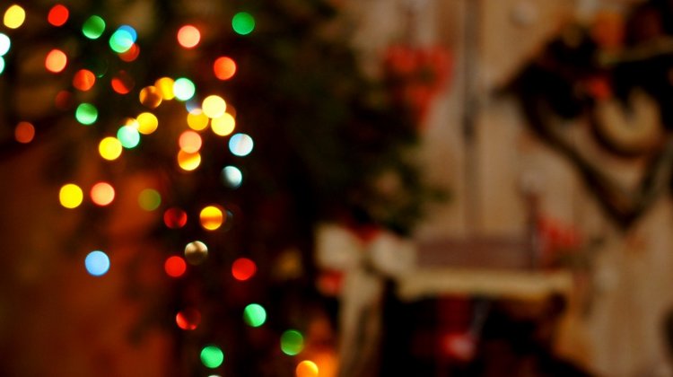 Новогодний вечер — Другие хобби и увлечения: сад (фото 8)