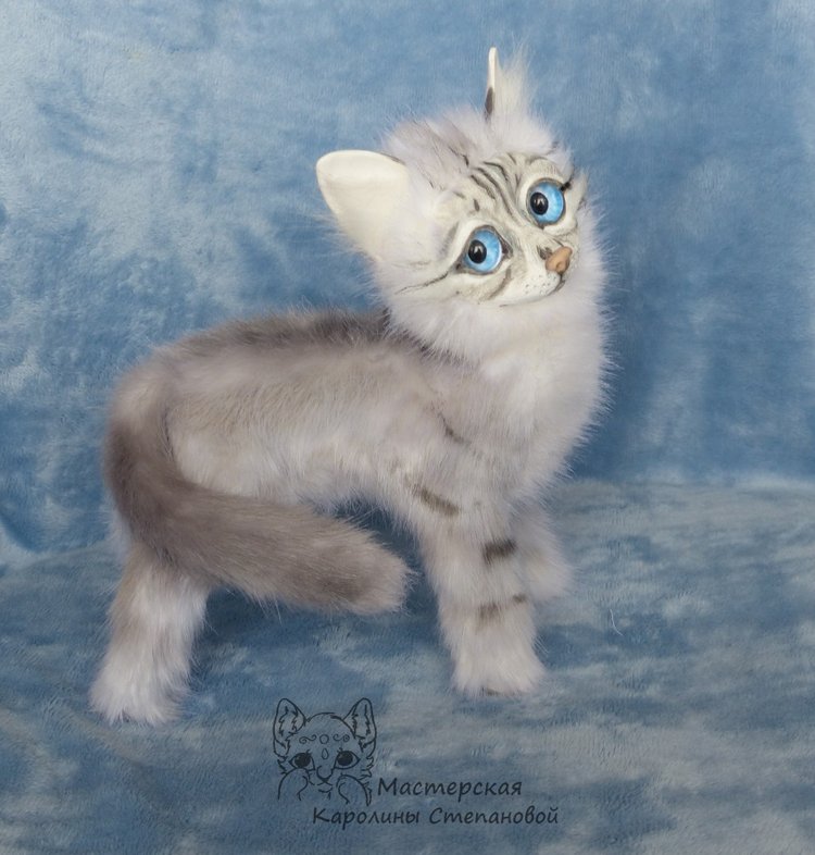 Невские Маскарадные коты серебристого окраса и Совята