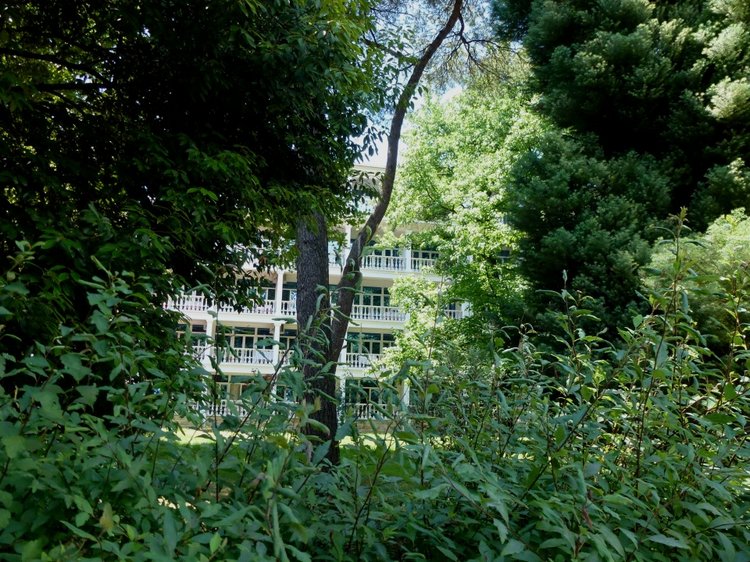 Краснодарский Край, Сочи-Адлер, Санаторий «Южное Взморье»