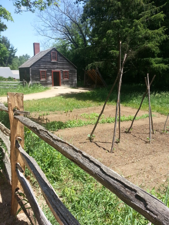 Прокатимся на машине времени? Поселение Старбридж. Новая Англия. 1830 год