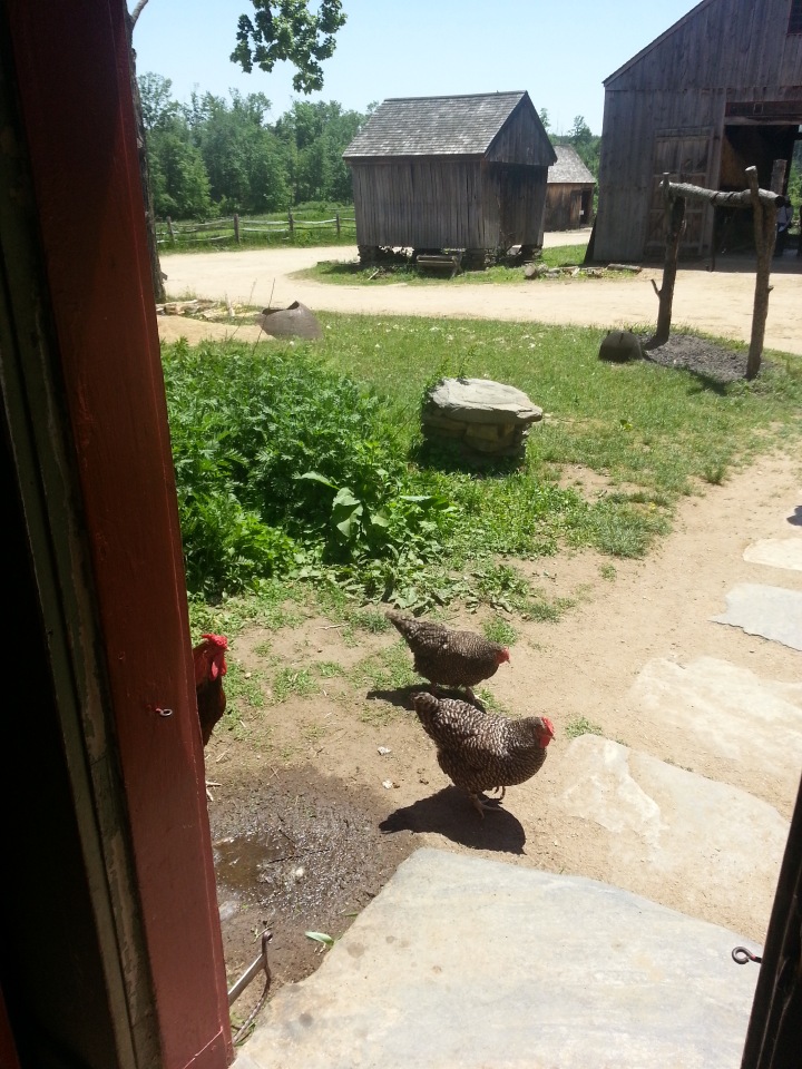 Прокатимся на машине времени? Поселение Старбридж. Новая Англия. 1830 год. Часть вторая