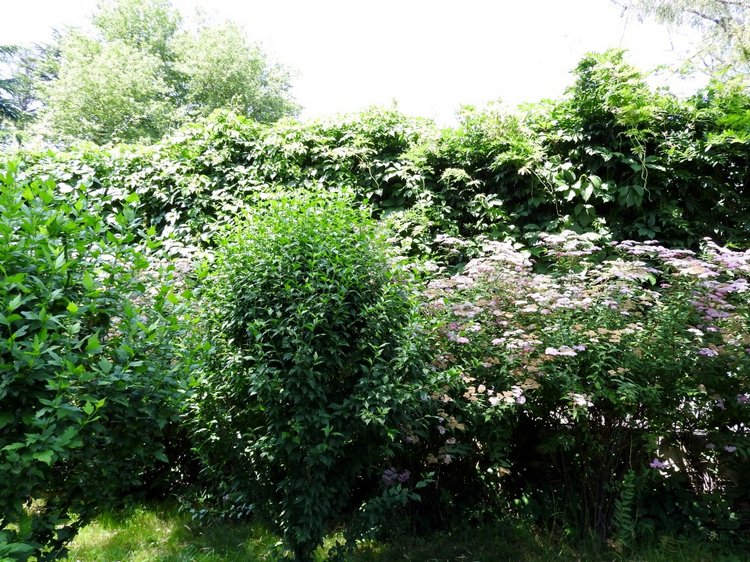 Краснодарский Край, Сочи-Адлер, Санаторий «Южное Взморье»