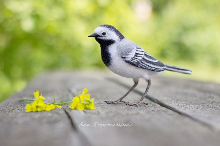 Белая трясогузка — Валяные игрушки из шерсти: сухое валяние (фото 5)