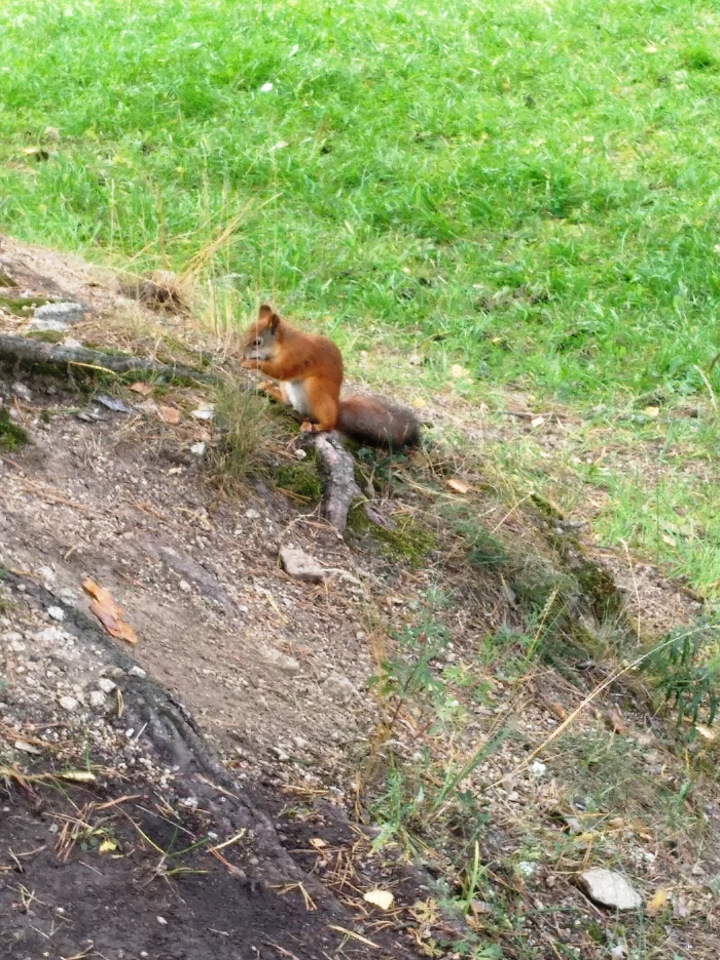 Тайна моего имени. Часть вторая. Надо быть похожей на саму себя