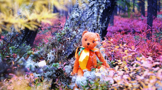 Осенний пейзаж — Туризм и путешествия: фотоотчеты из поездок (фото 7)