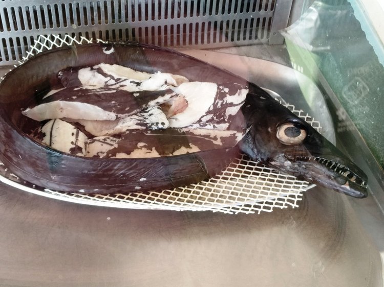 Тайна моего имени. Часть 11. Португалия, Мыс Рока. Там, где кончается земля, и начинается море