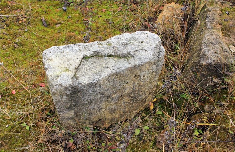 Осеннее путешествие с Мишей. Zwergnase Mischa | Бэйбики Осеннее путешествие с Мишей. Zwergnase Mischa