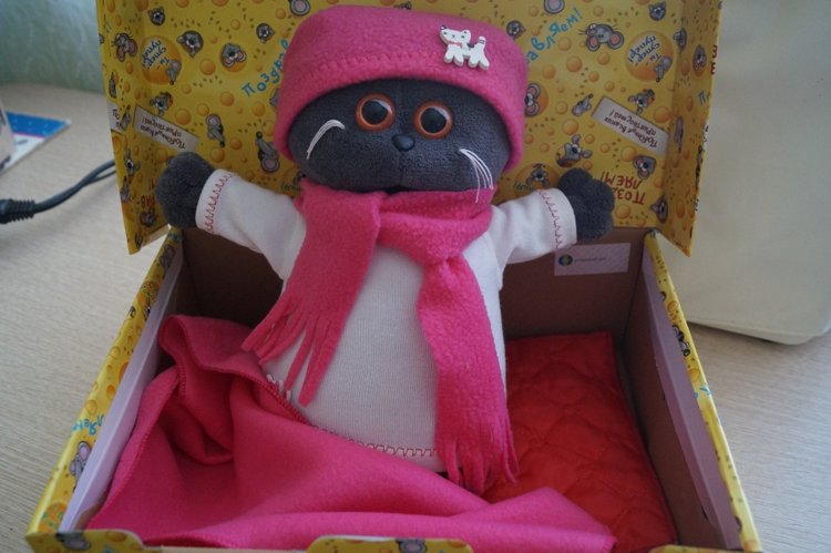 Как Агаша Басика сшила — Кот Басик