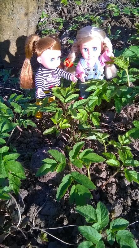 Галинка с Полинкой во саду ли в огороде