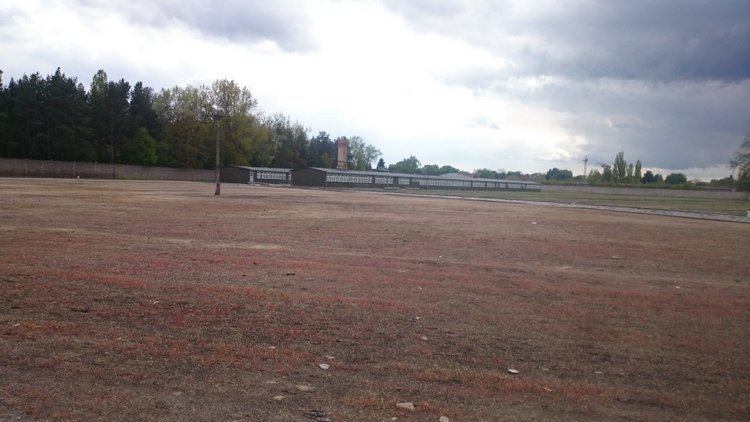 Спасибо Вам за смелость и отвагу, за небо мирное над головой (фото 7)