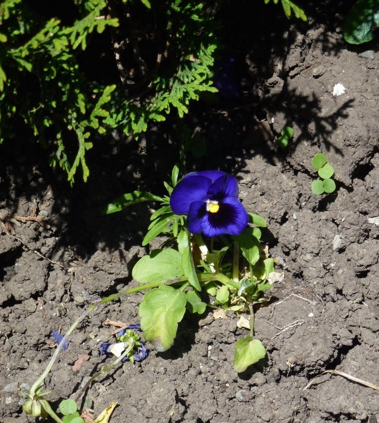 Сочи-Адлер: Южное Взморье - Мои любимые куколки на отдыхе