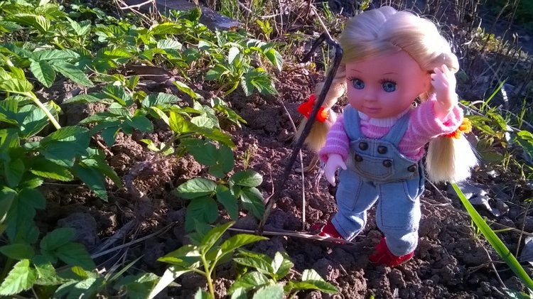 Галинка с Полинкой во саду ли в огороде