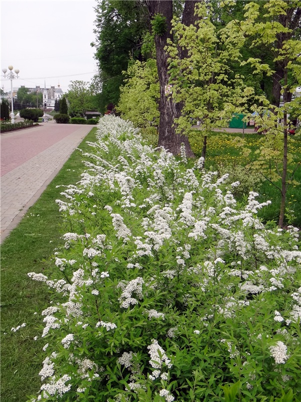 Милый мой город. Прогулка по Твери, заключительная часть (фото 3)