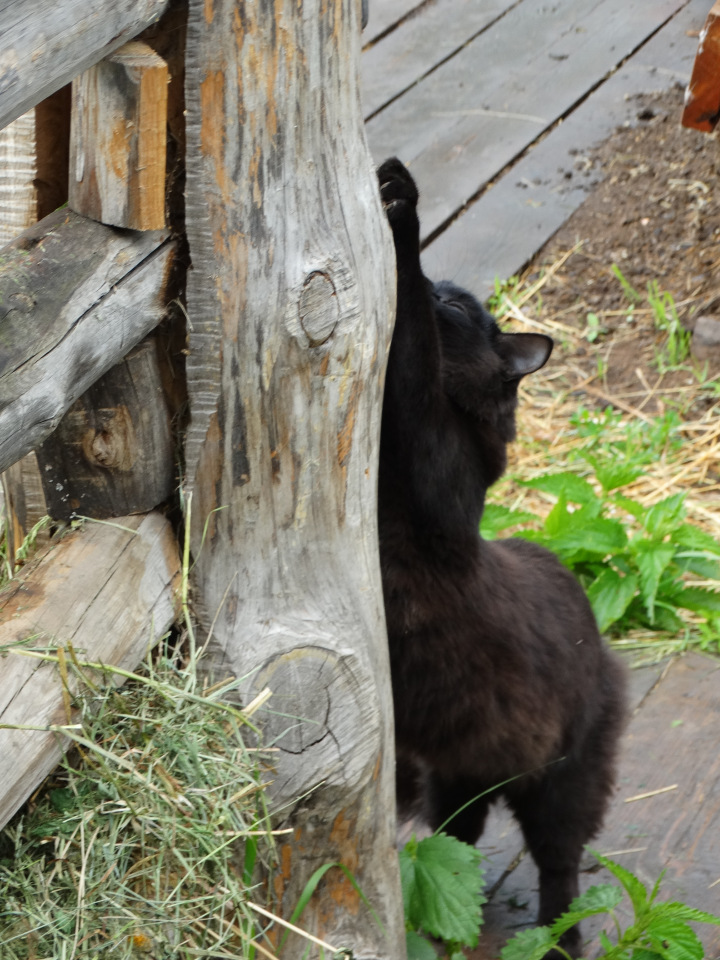 Парк Сказов — Туризм и путешествия: фотоотчеты из поездок