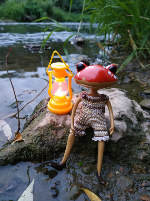 Wonderfrog. Красота в простоте