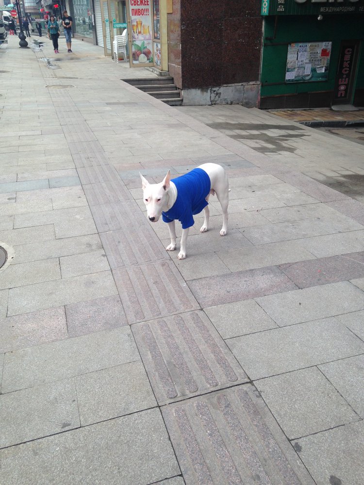 Курица не птица, Китай не заграница. Много фото, небольшая экскурсия