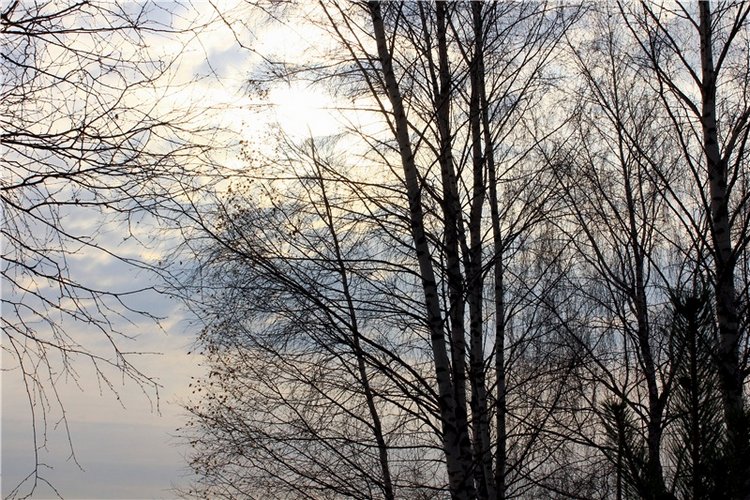 Гришутка — Винтажные куклы ГДР (Немки): Бигги