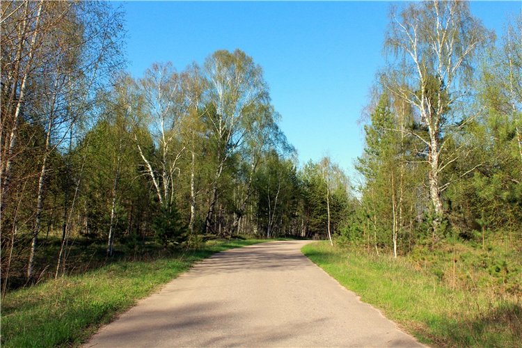 Прогулка Софи. Lati HoneyBee New Mystic Sophie | Бэйбики Прогулка Софи. Lati HoneyBee New Mystic Sophie