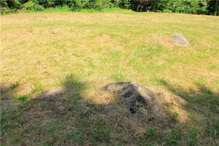 "Троицкие гуляния" в Василёво, 2019 год, заключительная часть. Архитектурно-этнографический музей под открытым небом Василёво