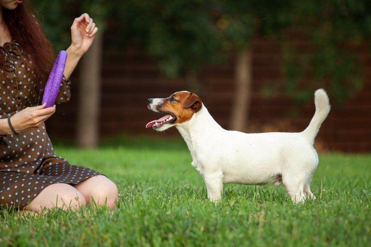 В гостях у STEPHA dolls! Biggers, Миниамигес, Вестида де Азул