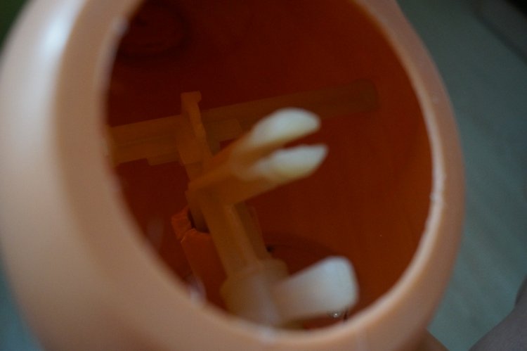 Ура! Суббота! Выписка куколок