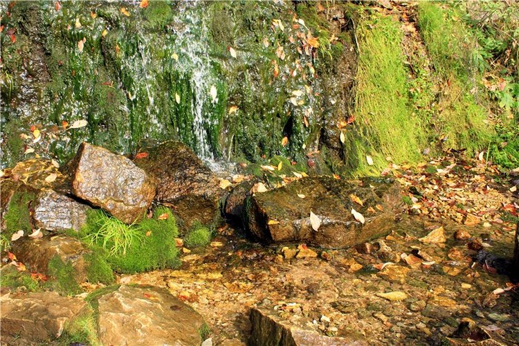 "Бабье Лето" на Водопаде, продолжение