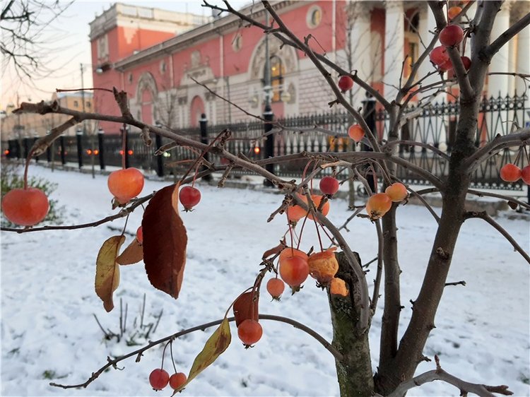 Декабрьская Тверь — Туризм и путешествия: фотоотчеты из поездок