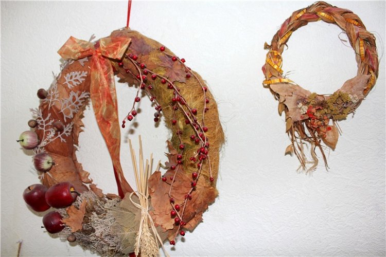 Тверской Ботанический Сад, продолжение | Бэйбики Тверской Ботанический Сад, продолжение