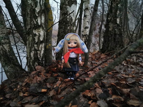 Toffee doll. Возвращение в коллекцию