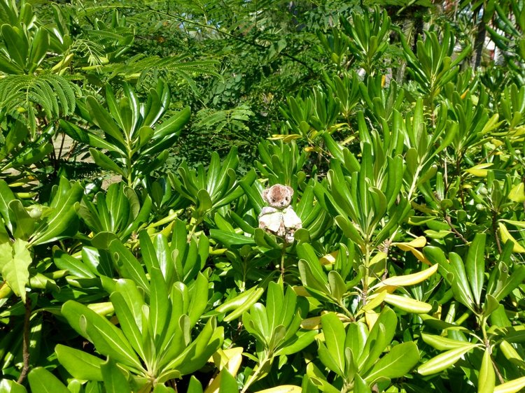 Краснодарский Край, Сочи-Адлер, Санаторий «Южное Взморье»