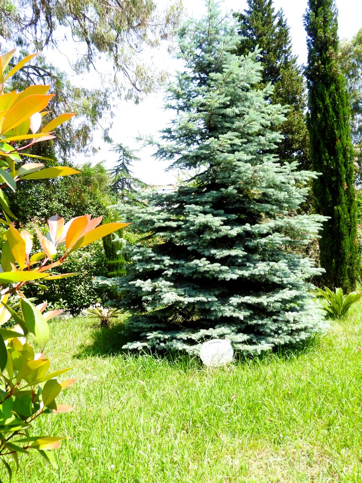 Краснодарский Край, Сочи-Адлер, Санаторий «Южное Взморье»