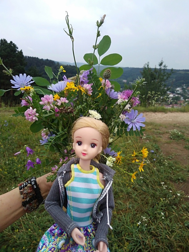 Возвращение Хелены в Кисловодск: опять за своё