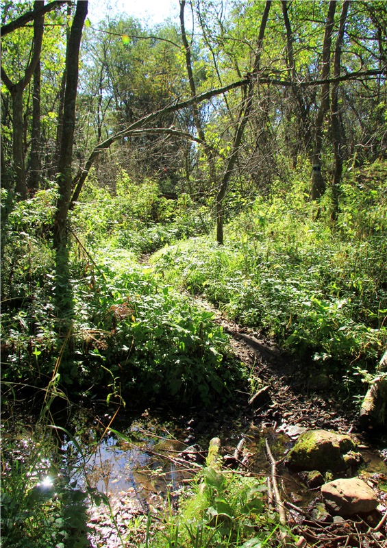 Старицкая Швейцария. Старицкие пещеры, д. Толпино, заключительная часть