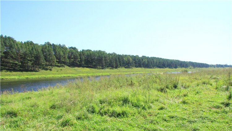 Старицкая Швейцария. Путешествие Мии. Minifee Miyu FairlyLand | Бэйбики Старицкая Швейцария. Путешествие Мии. Minifee Miyu FairlyLand