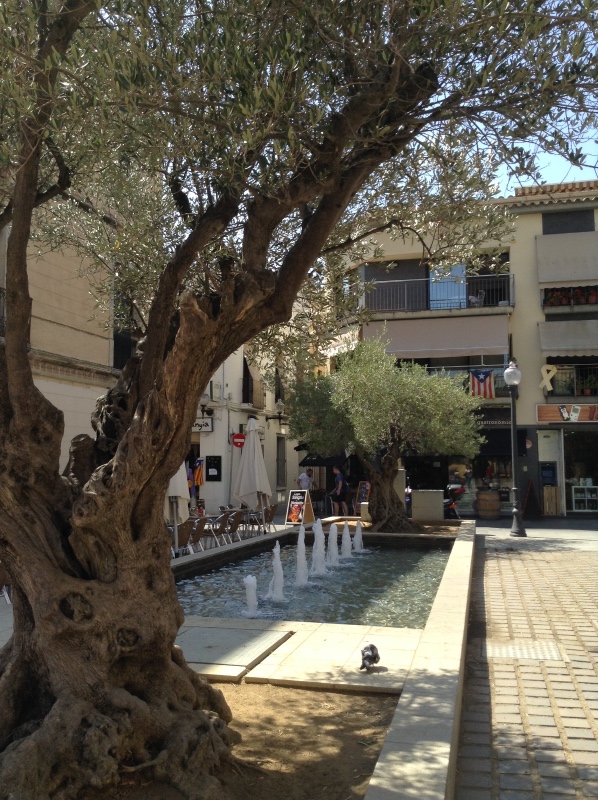 Путешествие Минуш в Испанию. Каталония. Ч.1. Рассвет над облаками. О-ла, Барселона