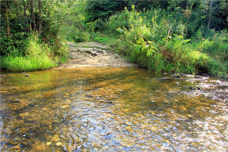 Старицкая Швейцария. Путешествие Мии. Minifee Miyu FairlyLand | Бэйбики Старицкая Швейцария. Путешествие Мии. Minifee Miyu FairlyLand