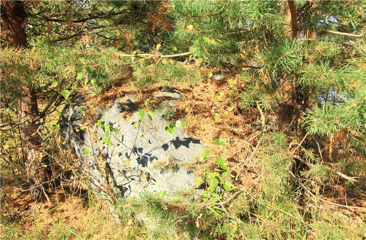 Путешествие Адель в "Сад камней". Джульетта от Sylvia Natterer