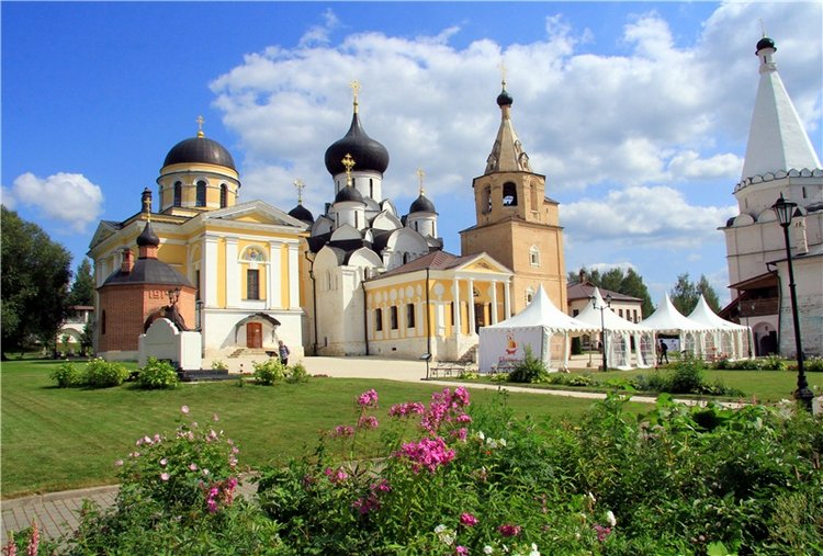 Августовская прогулка в Берново. Zwergnase Mischa