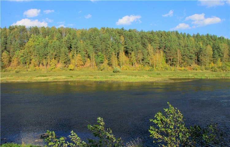 Нийя. Воспоминание об осени, Чукавино, Эко-Лэнд
