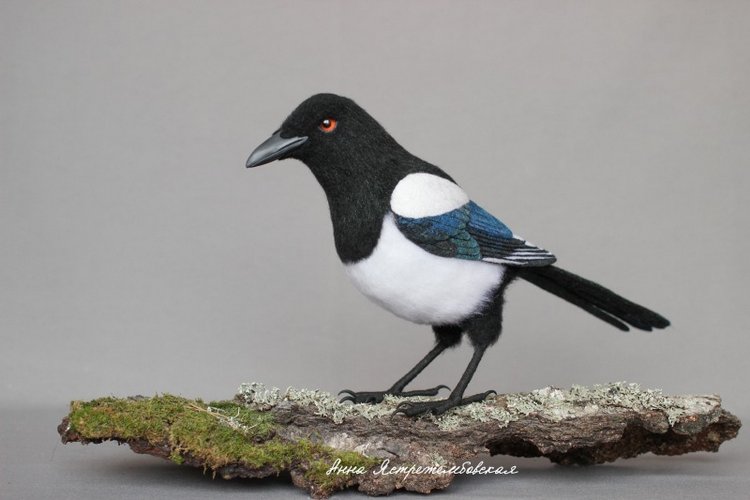 Сорока-белобока — Валяные игрушки из шерсти: сухое валяние (фото 3)