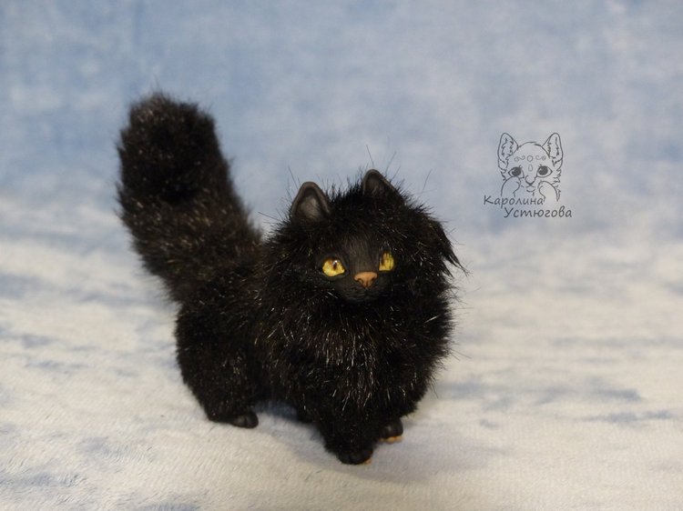 Кот породы Мейн-ку́н, черный. Я к удаче (фото 9)