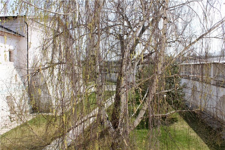 Накануне Светлого Праздника Пасхи. Старица, Свято-Успенский монастырь