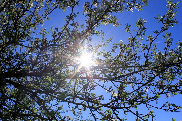 Дивная Весна — Куклы Zwergnase (Цвергназе/Цверги): фото